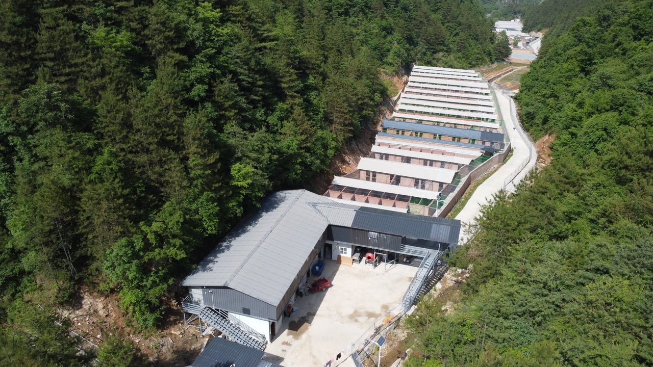圈舍区 · 管理用房与院坝