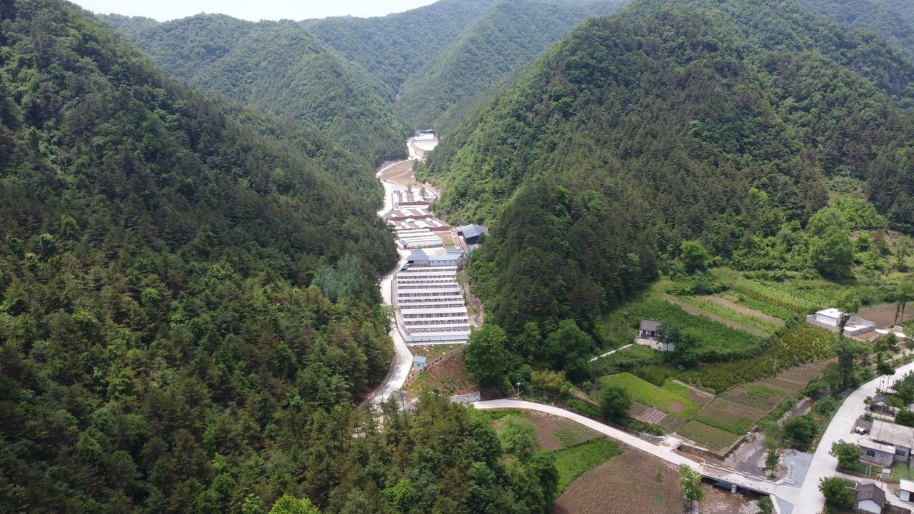 山谷远景 · 林间基地