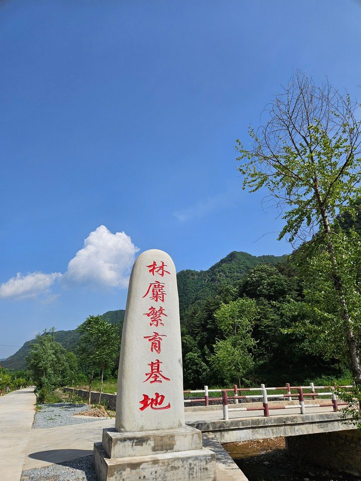 林麝繁育基地 · 入口石刻